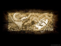 /album/tapety-na-plochu/malarie-jpg/